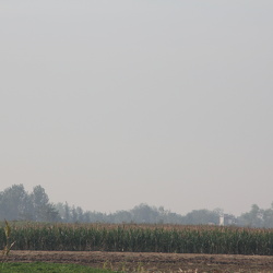 201210