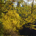 DSC08367