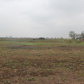 IMG 0518