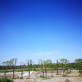 IMG 20190918 121717
