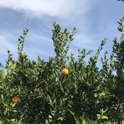 201912