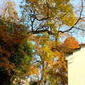 IMG 20181124 143825 712