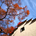 IMG 20181211 095607