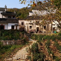 IMG 20191110 132455