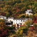 IMG 20191110 134532