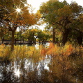 IMG 20201007 212627