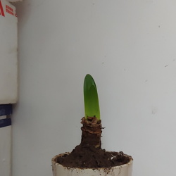 202104